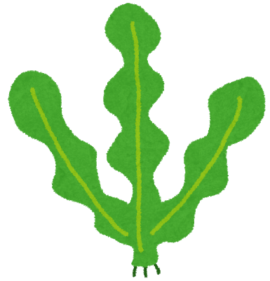 発達障害 食事 カルシウム ワカメ